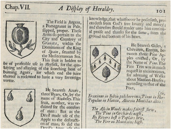 11_Display_of_Heraldry