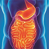 gastroenterology