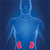nephrology