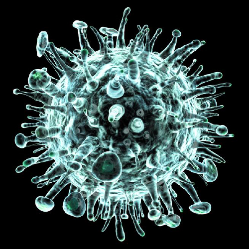 Infectious Diseases and Microbiology