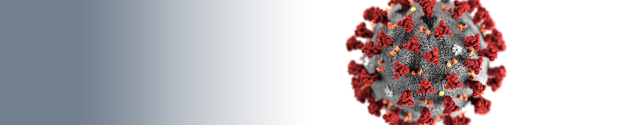 Physician in discussion with patient