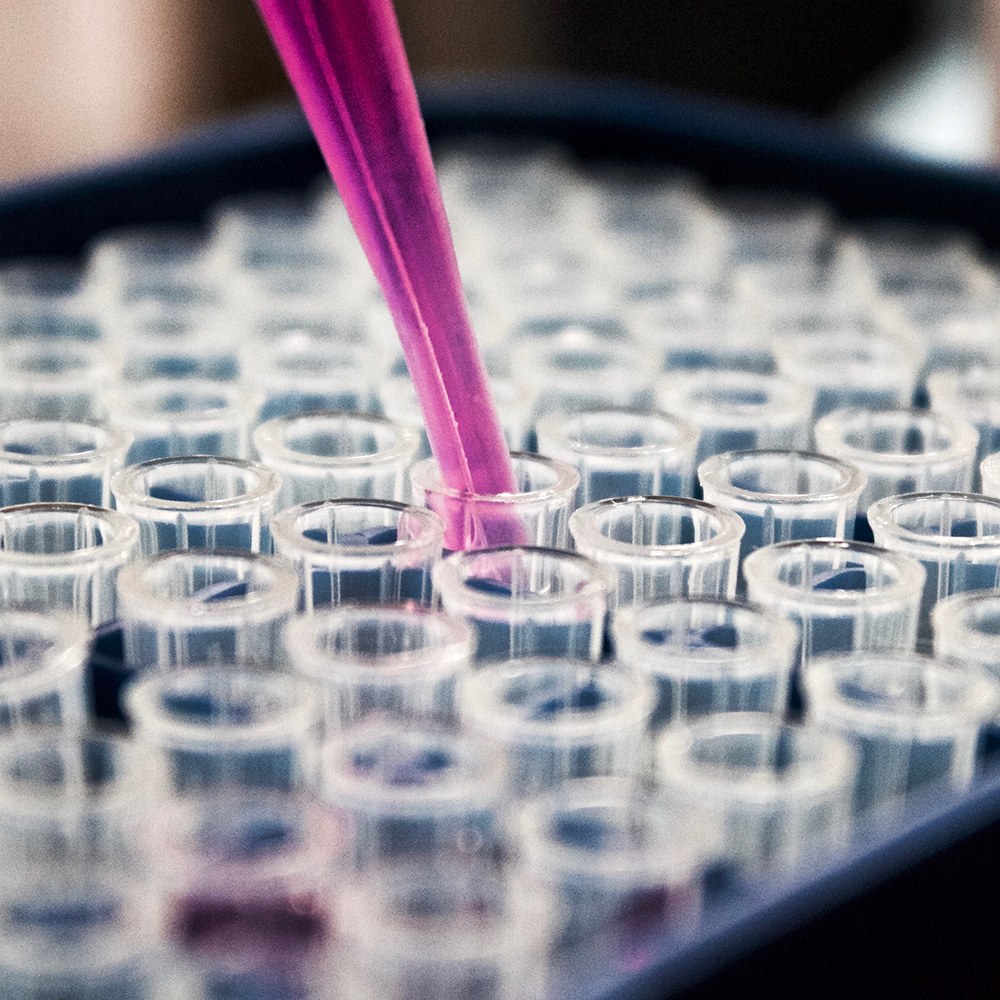 Syringe dropping samples into tubes in a research lab