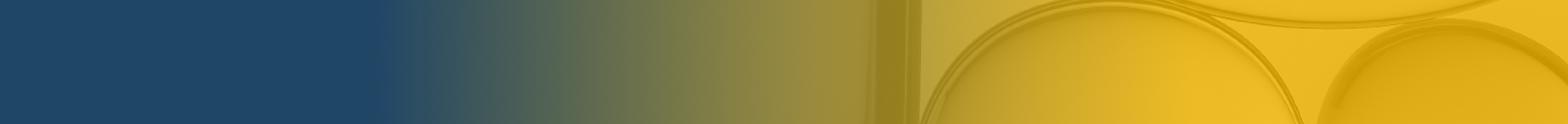 Increasing community access to specialist services